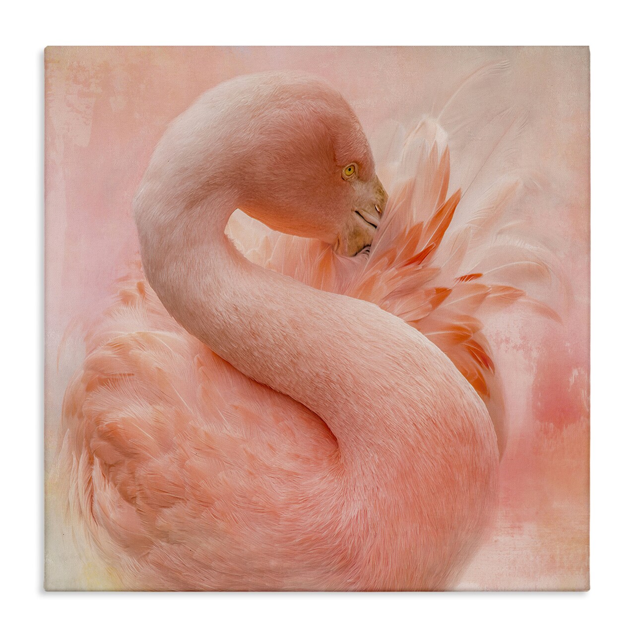 Stupell Industries Cocoon of Plumage Canvas Wall Art Design by Kelley Parker